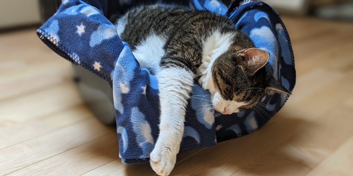 A brown and white tabby cat sleeping on a blue cloud blanket on an infant car seat