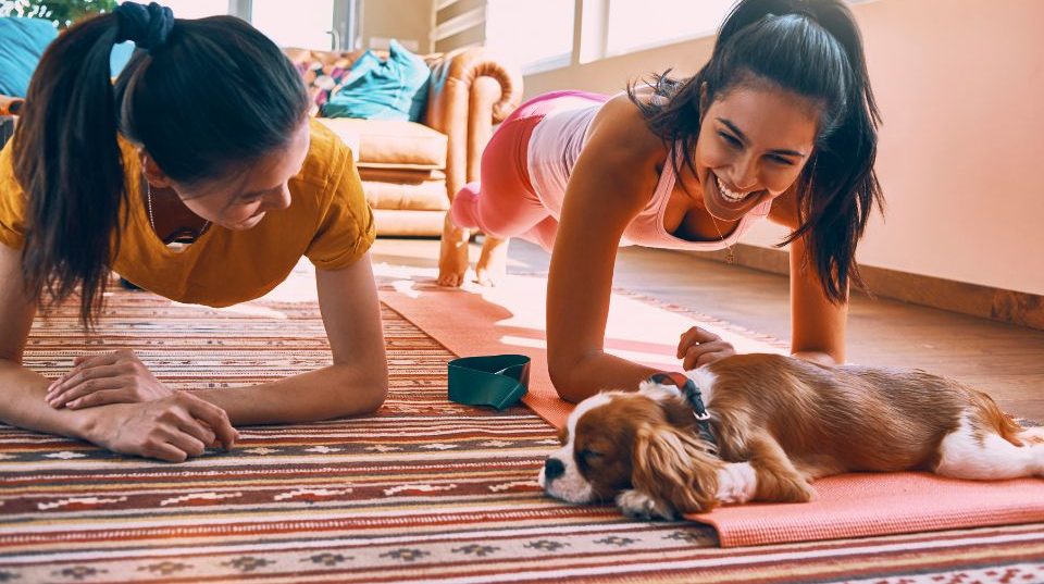 Two women doing planks in their home while a small dog sleeps in front of them